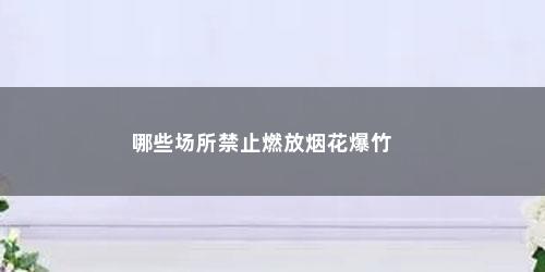 哪些场所禁止燃放烟花爆竹 