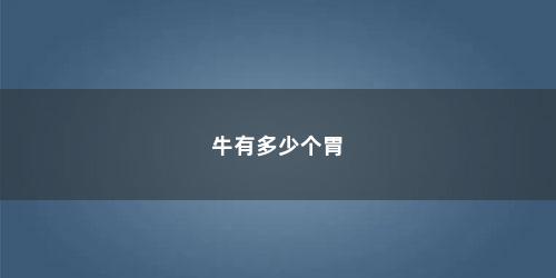 牛有多少个胃 牛有多少个胃