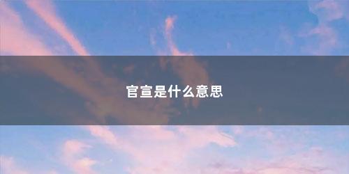 官宣是什么意思 官宣是什么意思(谈恋爱官宣是什么意思)