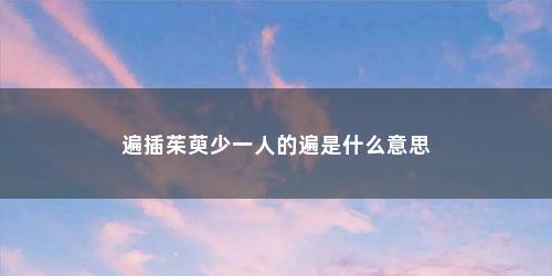 遍插茱萸少一人的遍是什么意思