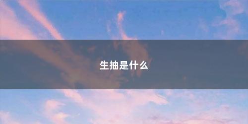 生抽是什么