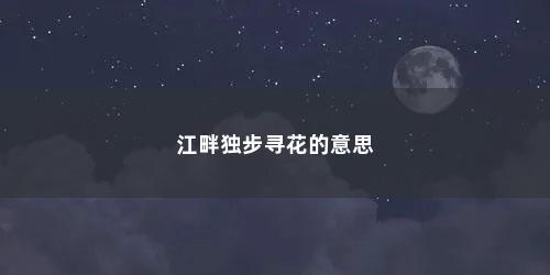 江畔独步寻花的意思