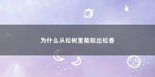 为什么从松树里能取出松香