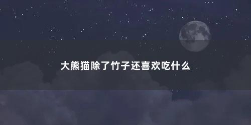 大熊猫除了竹子还喜欢吃什么