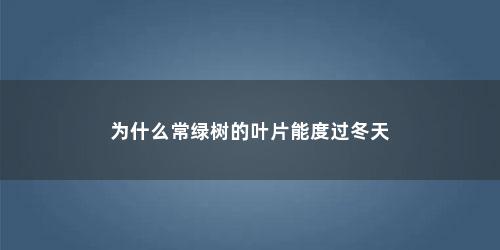 为什么常绿树的叶片能度过冬天