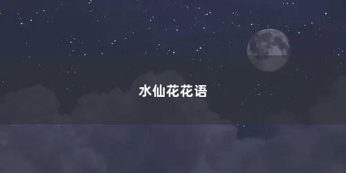 水仙花花语