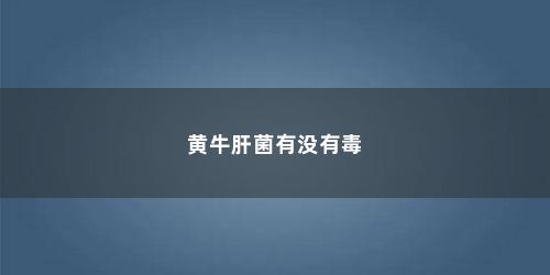 黄牛肝菌有没有毒