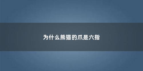 为什么熊猫的爪是六指
