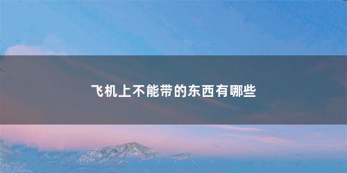 飞机上不能带的东西有哪些