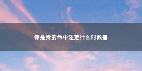 你是我的命中注定什么时候播