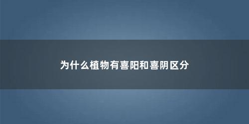 为什么植物有喜阳和喜阴区分 为什么植物有喜阳和喜阴区分