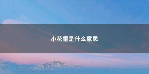 小花童是什么意思