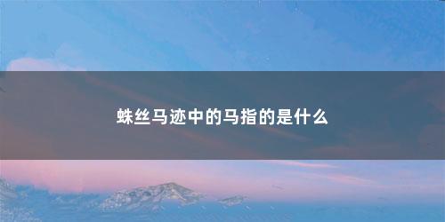 蛛丝马迹中的马指的是什么