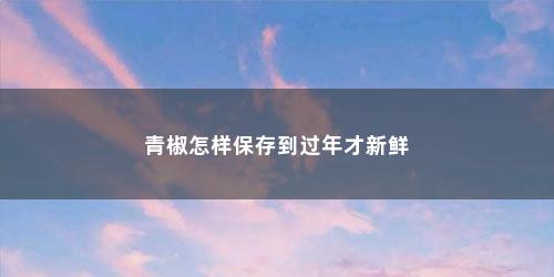青椒怎样保存到过年才新鲜