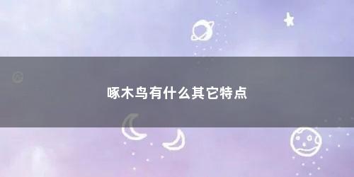 啄木鸟有什么其它特点