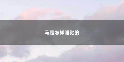 马是怎样睡觉的