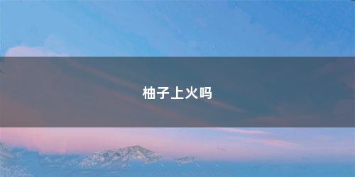 柚子上火吗