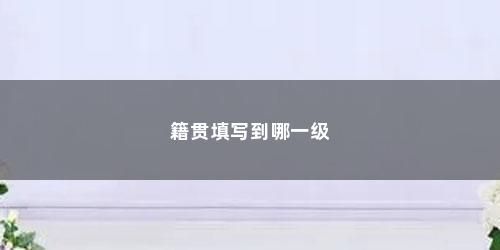 籍贯填写到哪一级