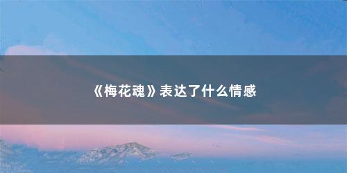 《梅花魂》表达了什么情感