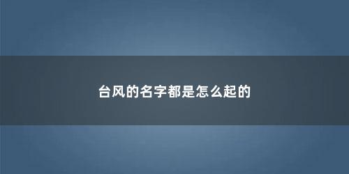 台风的名字都是怎么起的