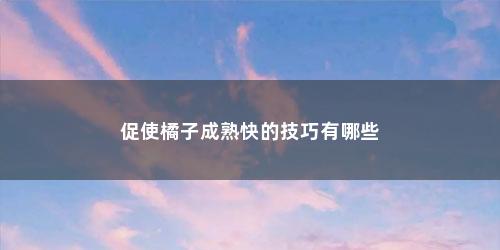 促使橘子成熟快的技巧有哪些