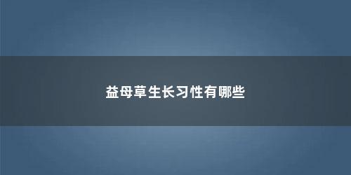 益母草生长习性有哪些
