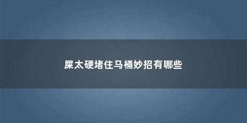 屎太硬堵住马桶妙招有哪些