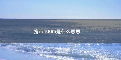 宽带100m是什么意思