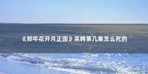 《那年花开月正圆》吴聘第几集怎么死的 《那年花开月正圆》吴聘第几集怎么死的(那年花开月正圆吴聘是第几集死的)