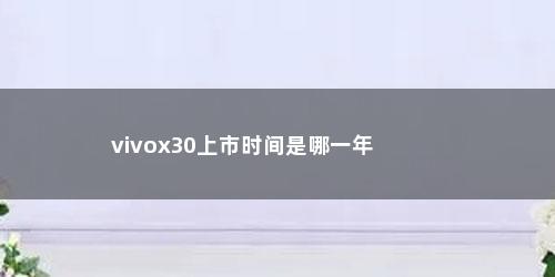 vivox30上市时间是哪一年