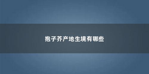 抱子芥产地生境有哪些