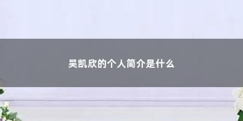 吴凯欣的个人简介是什么