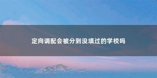 定向调配会被分到没填过的学校吗