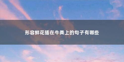 形容鲜花插在牛粪上的句子有哪些 形容鲜花插在牛粪上的句子有哪些(鲜花插在了牛粪上之类的句子)