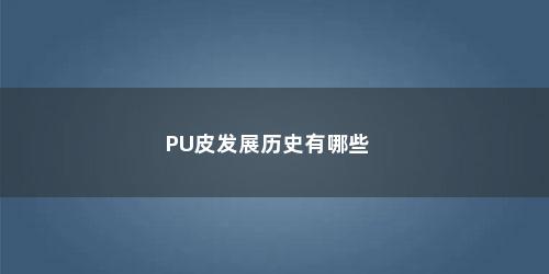 PU皮发展历史有哪些