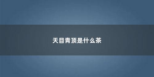 天目青顶是什么茶