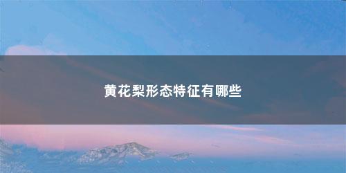 黄花梨形态特征有哪些