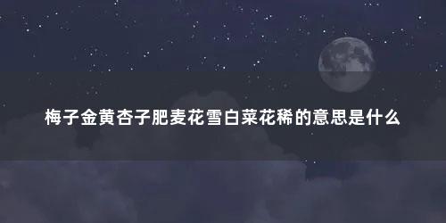 梅子金黄杏子肥麦花雪白菜花稀的意思是什么