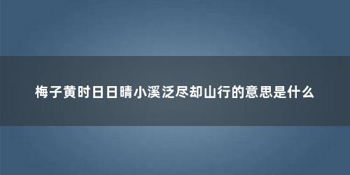 梅子黄时日日晴小溪泛尽却山行的意思是什么