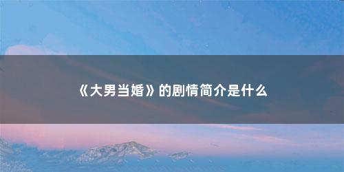 《大男当婚》的剧情简介是什么
