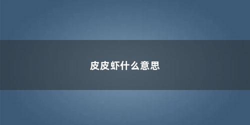 皮皮虾什么意思