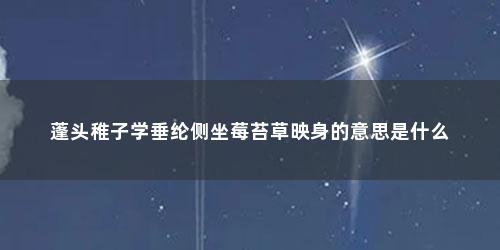 蓬头稚子学垂纶侧坐莓苔草映身的意思是什么