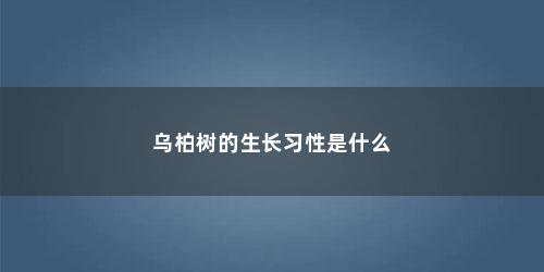 乌柏树的生长习性是什么