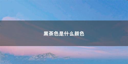 黑茶色是什么颜色