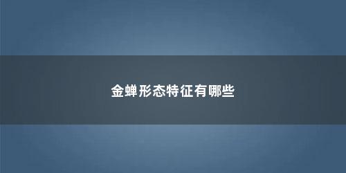 金蝉形态特征有哪些