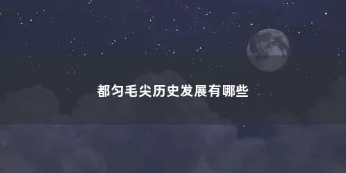 都匀毛尖历史发展有哪些