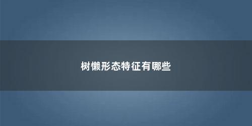 树懒形态特征有哪些