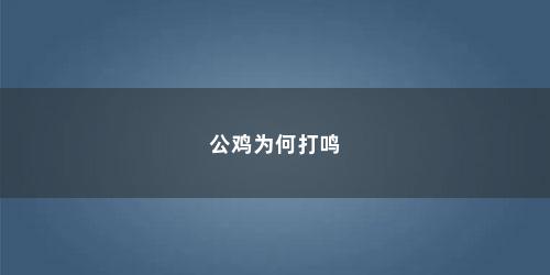 公鸡为何打鸣 公鸡为何打鸣(公鸡为什么会打鸣的短视频)