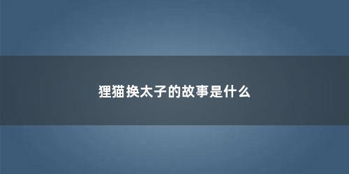 狸猫换太子的故事是什么