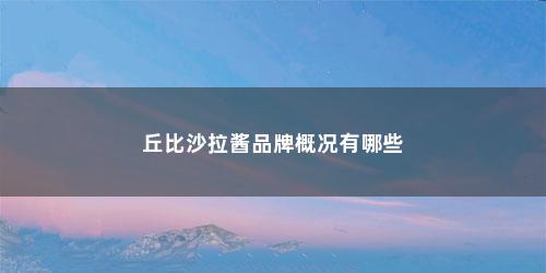 丘比沙拉酱品牌概况有哪些